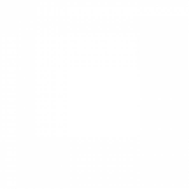         /       105     .   25.07.25
