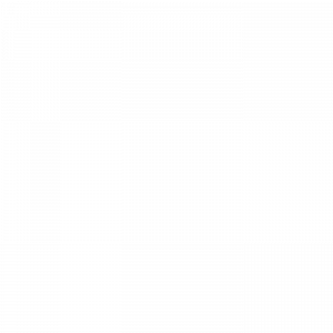  :      ,        /      20  18% .   28.07.25